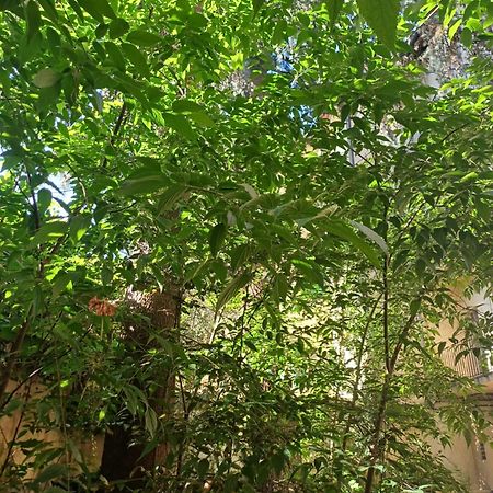 La Colonna Otel Lucca Dış mekan fotoğraf